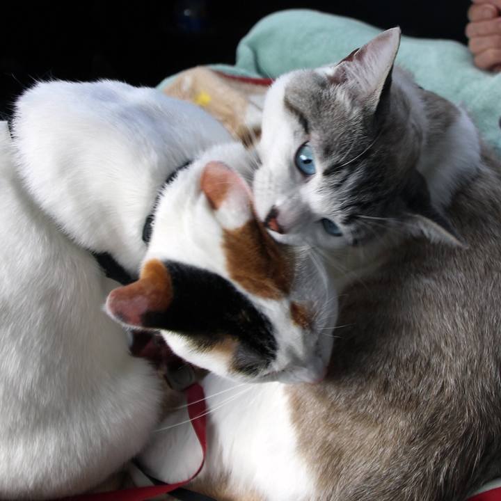 22c23880 7d09 4e0c 9444 b756b4c320a5 1635464287418