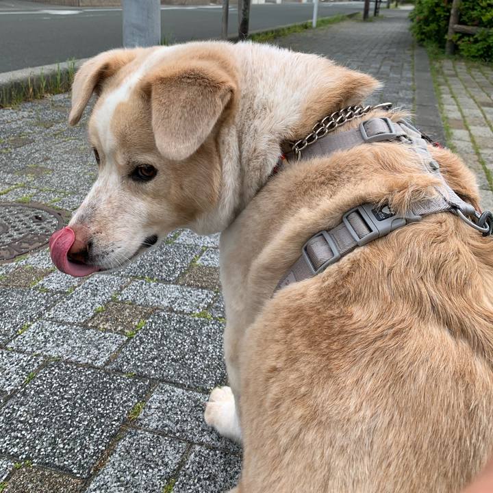 22c25e47 c561 4e46 857f 7d52f24bd0cb 1588466717694