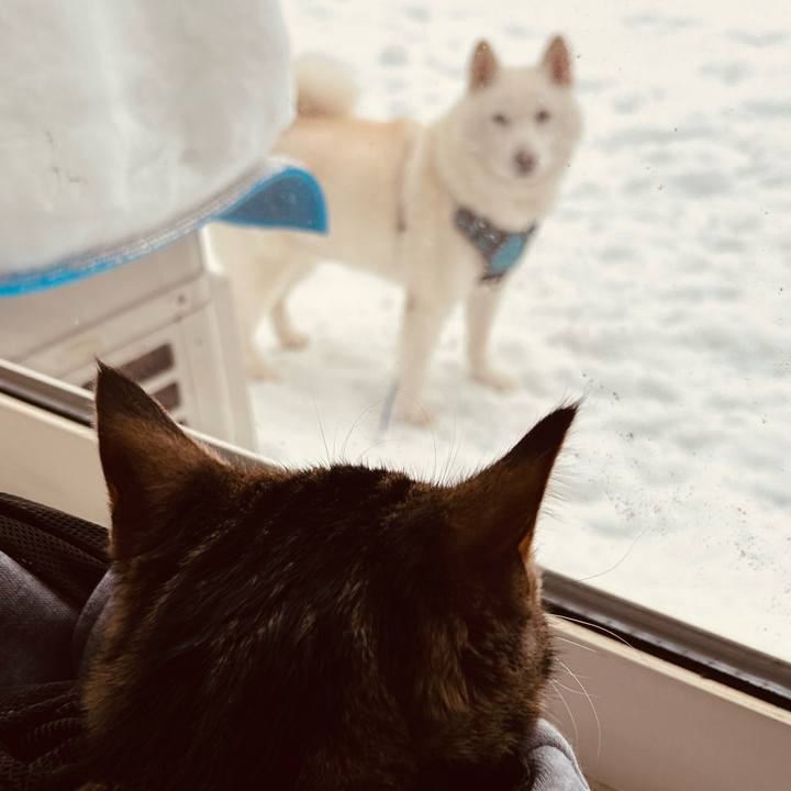 22c26de9 1c28 43e9 99ef 3af9254a322f 1734221507865