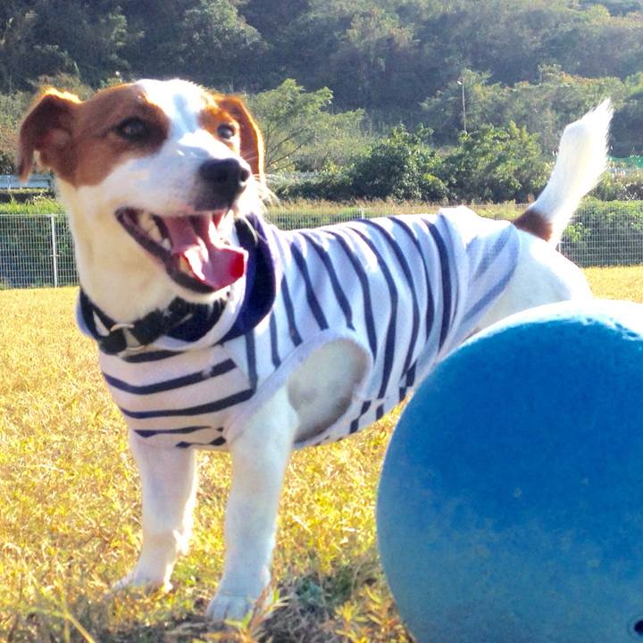 22c28493 f38e 4ed5 bc1d 7aab399c9a07 1509003741947