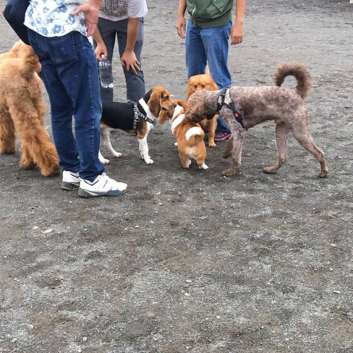 22c290ea 1606 4c61 b789 d5db2c2e7990 1595109803368