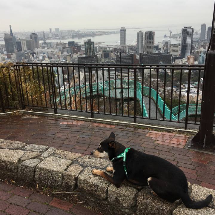 22c29a30 ac8f 47c3 8fff b6855cc82a19 1515229139254