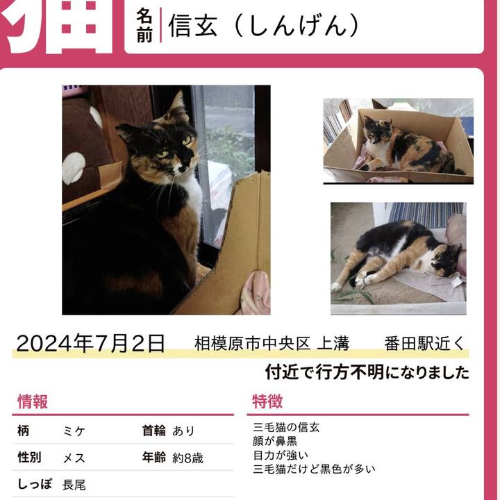 22c2a507 a46c 482b 926d 7f2cf46489d7 1742474322139