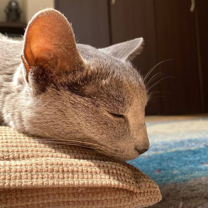 22c2af30 bf79 4ee7 83d0 dd3cdbe0b361 1586671521561