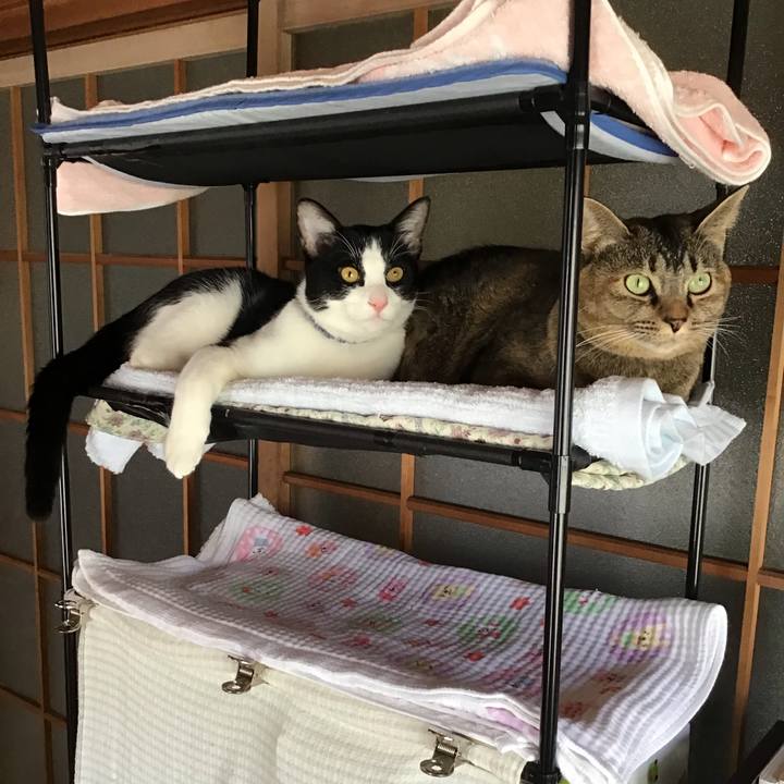 22c2c3dc 869a 4cff bdf6 c9d50b3016b2 1637719124751