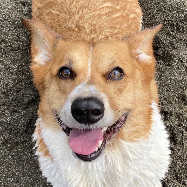 22c2c549 5ee8 4cad b5c3 7b12aedf073e 1750462320615