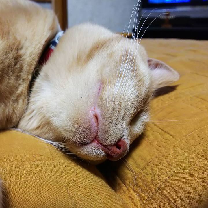 22c2d0f8 22c2 459c b04a d151a3d9ee78 1563105961103