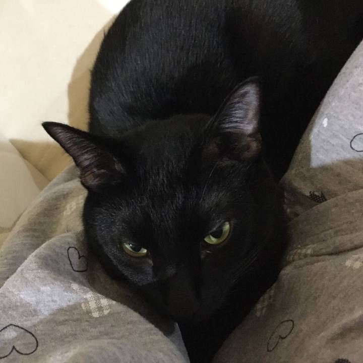 22c31248 01f4 4486 8093 cf31ad9509ec 1515164529850