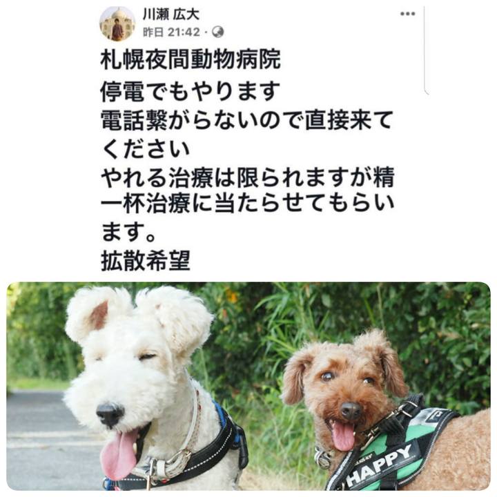 22c3b1f9 14a1 410f 93ff 65797ff7205c 1536293230275