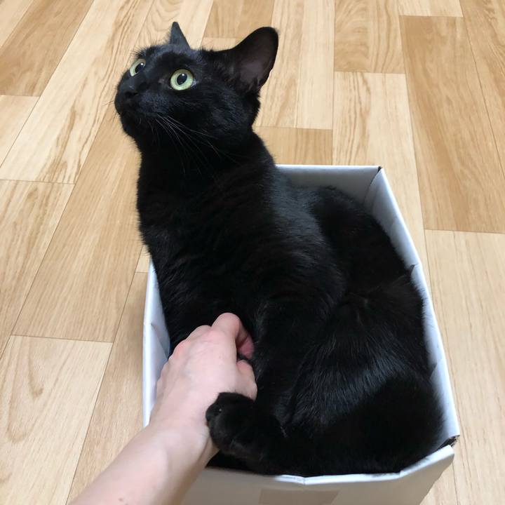 22c3e3aa 2fe3 4fe2 b7be 5f1232a5f103 1561555828362