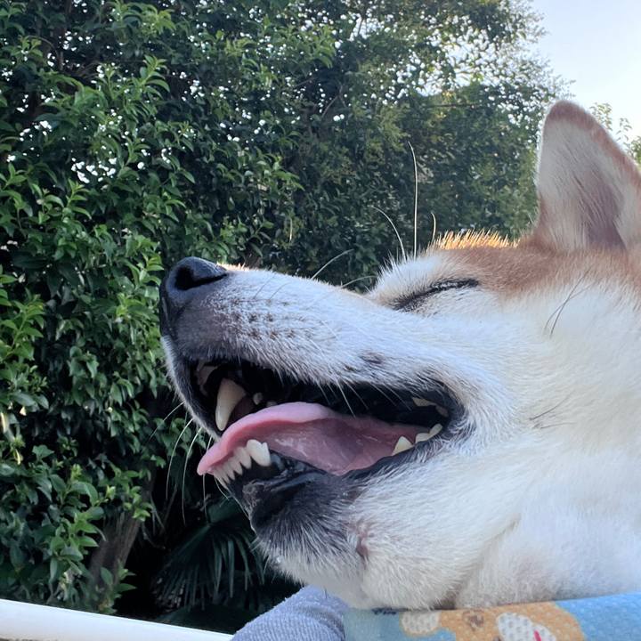 22c3f81d abf7 445c 8c95 94f1228bcfa0 1722807240786