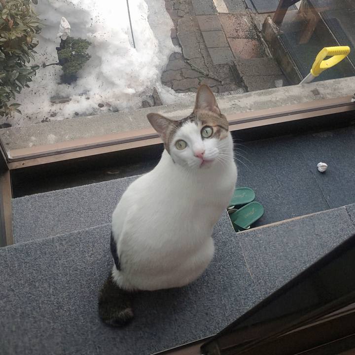 22c425bb de12 4578 9808 c555c33da26e 1742605714092