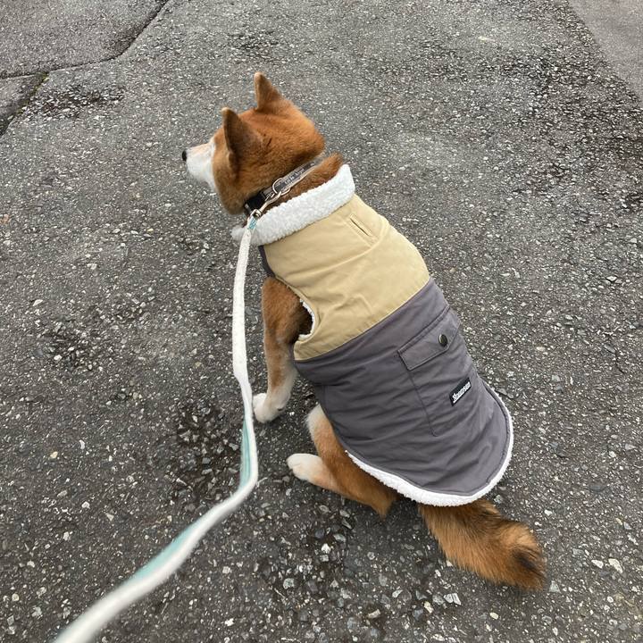 22c42c0f f6e7 41fe ab89 90e0ff80f0de 1738541624755