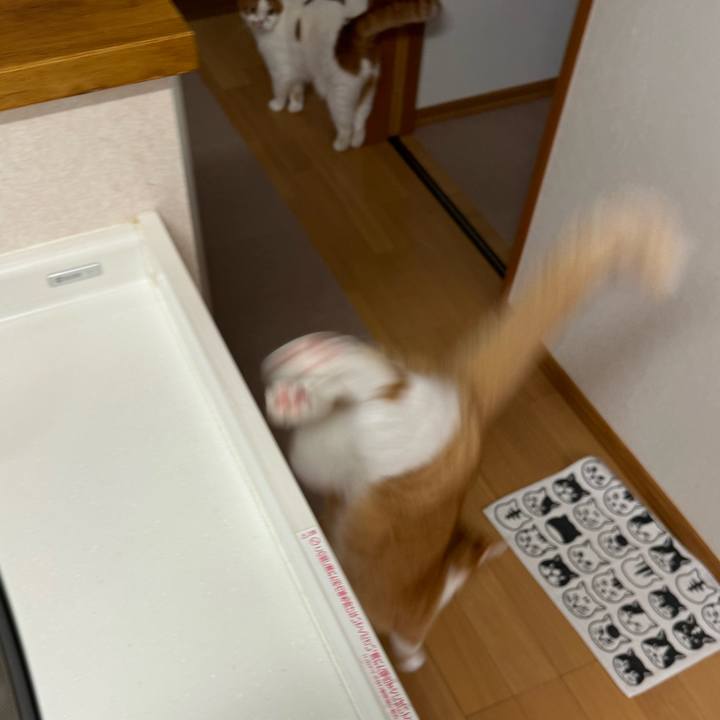22c4794c 8f90 41bd 9857 34d45e64fae1 1732071419675