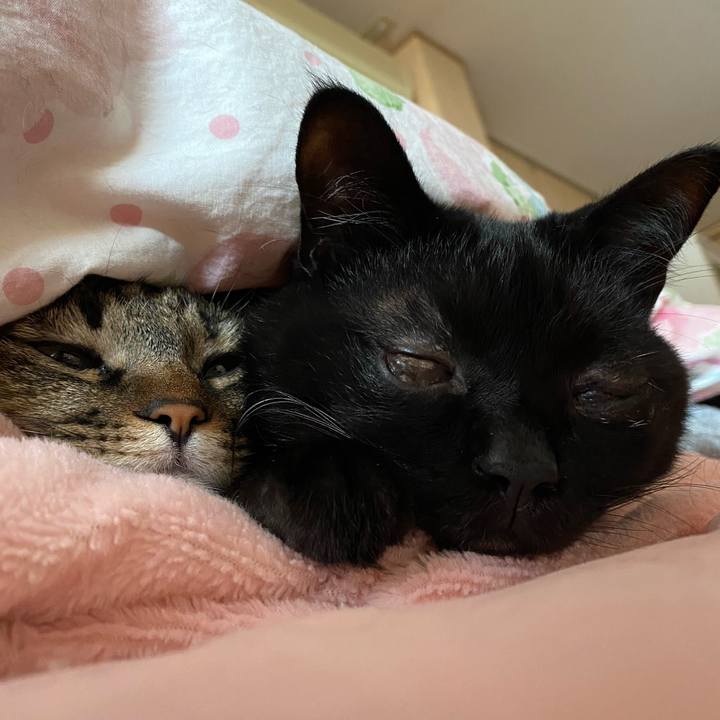 22c48827 a615 454e 99ab 377f9f27bee4 1613880972077