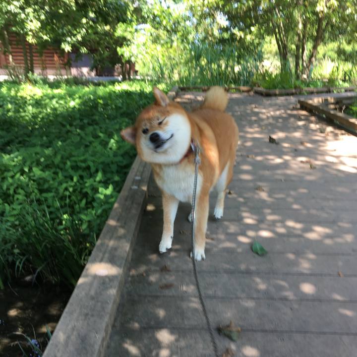 22c49432 afeb 41b5 9af8 3c01e582303c 1539008810693