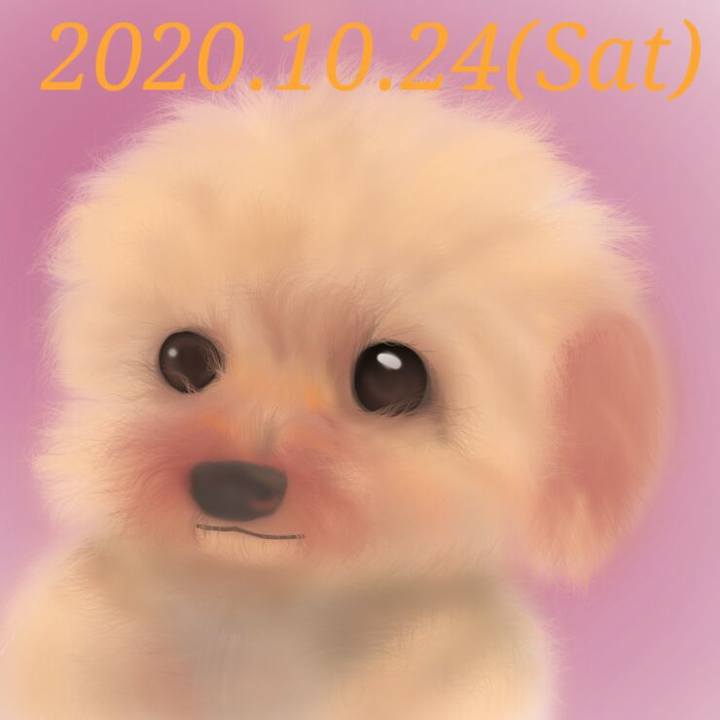 22c4ae49 738d 48b0 ae8b 2ff7fc2553bb 1603538957146