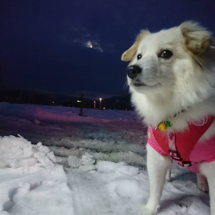 22c4b851 78c7 4480 aba5 e403a3f180ec 1517519653880