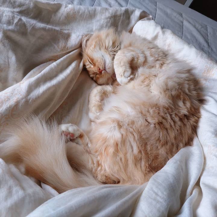 22c4bdfe 122b 47f4 983a ac909259f170 1665920730790