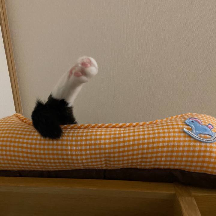 22c50727 b688 406e 82ef 71036b4f75df 1657292912125