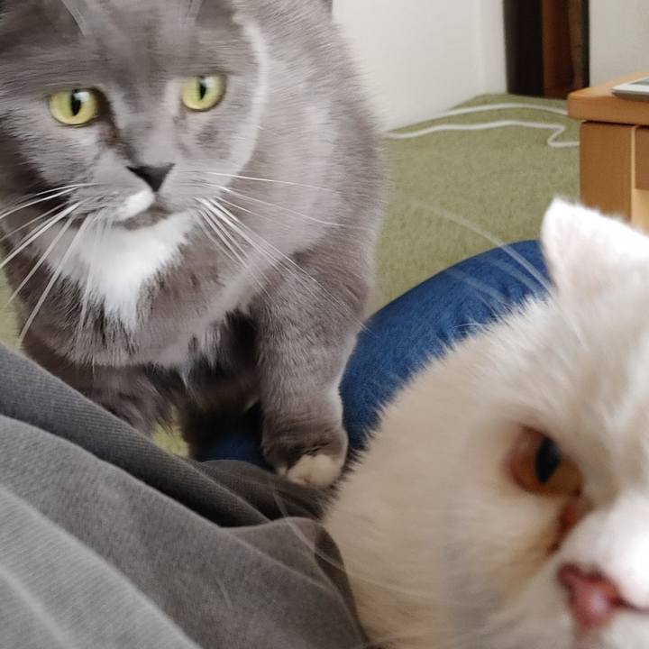 22c50f65 7668 4b1e a214 26fb5a75ac4a 1748656548862