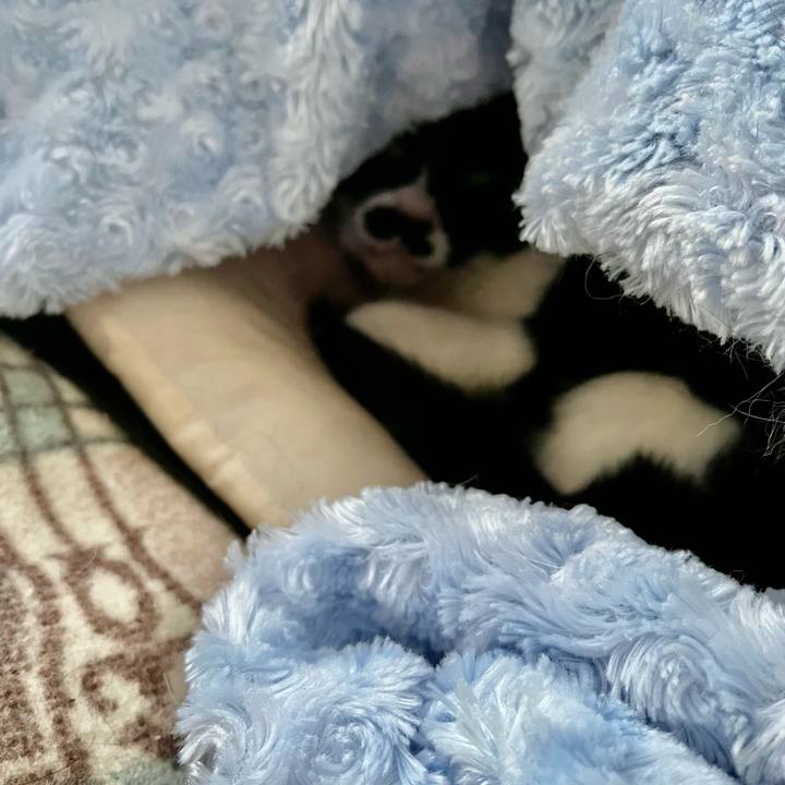 22c514e1 7b4a 4753 bc16 458a3fb48653 1683803123410