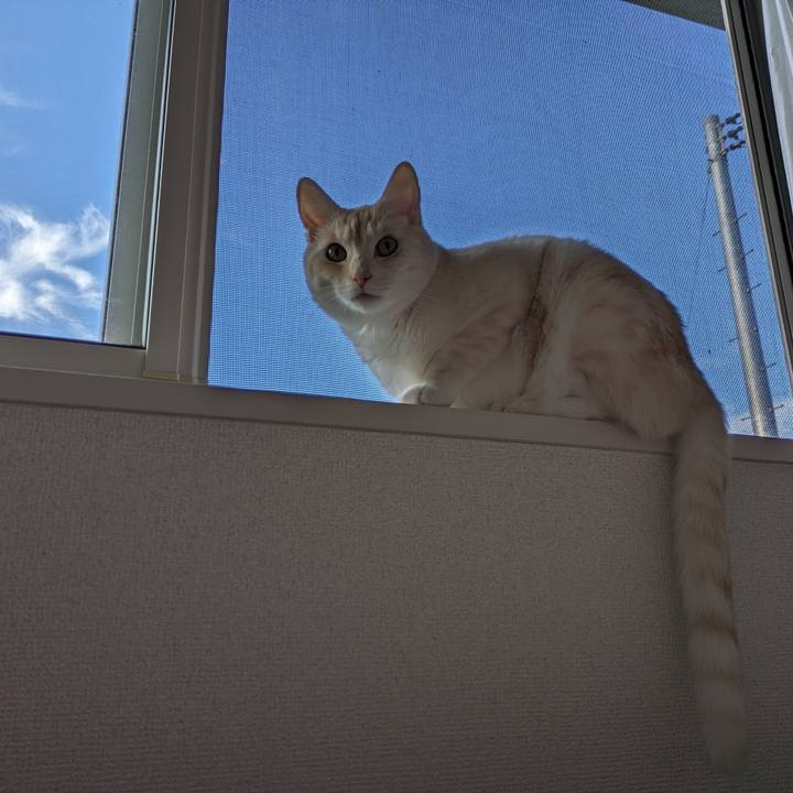 22c54278 0247 4bdf 8d7c 01eeba598921 1691442178116