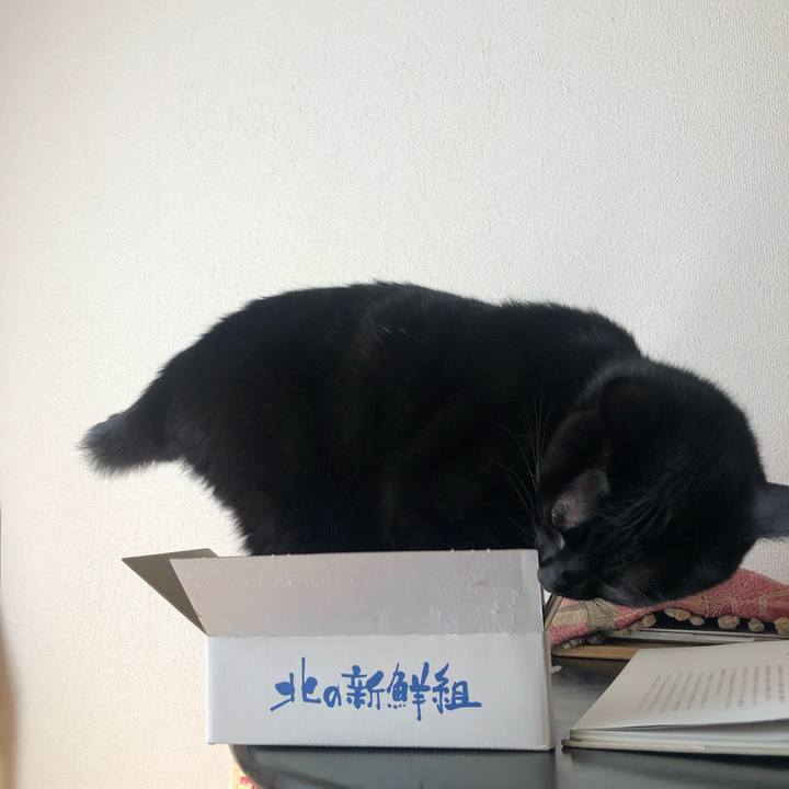 22c5724f e773 4350 81c3 f62ff08fb3de 1581292391130