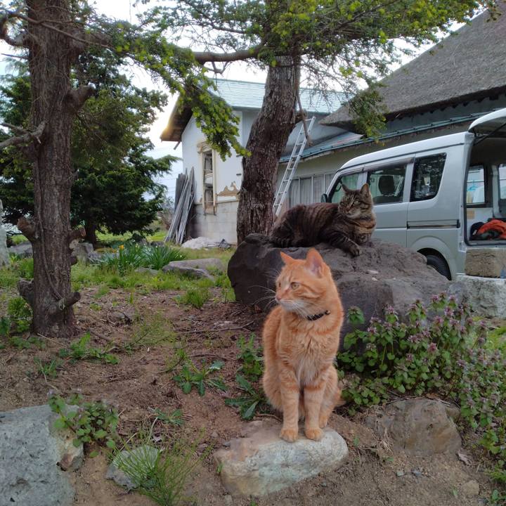 22c57a25 4402 467e 9e6d eafa586d8279 1682759339017