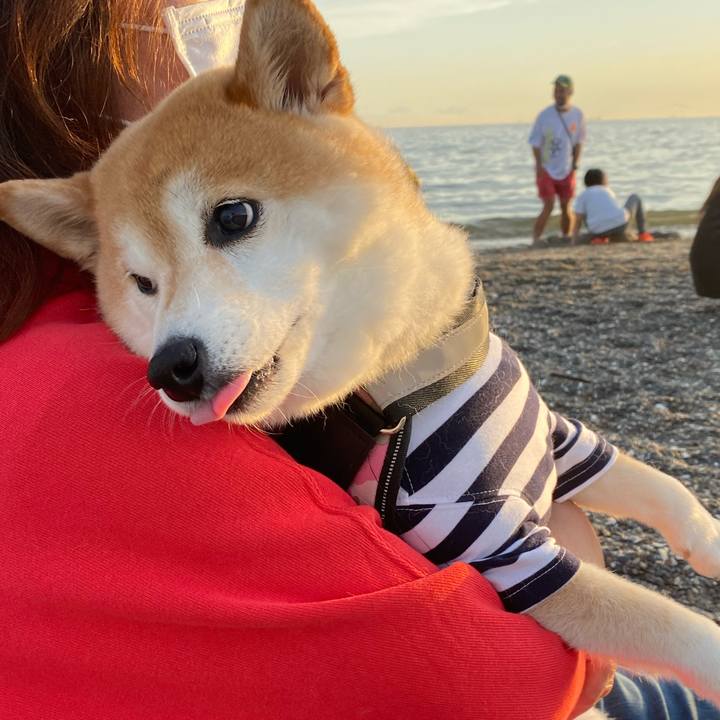 22c58795 6190 4fc6 9ee4 f90e10214a7a 1652607665089