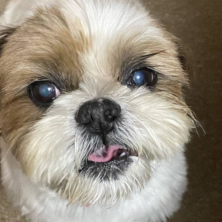 22c58932 0ee0 4e23 b2b6 481f9fff6a55 1598098663801