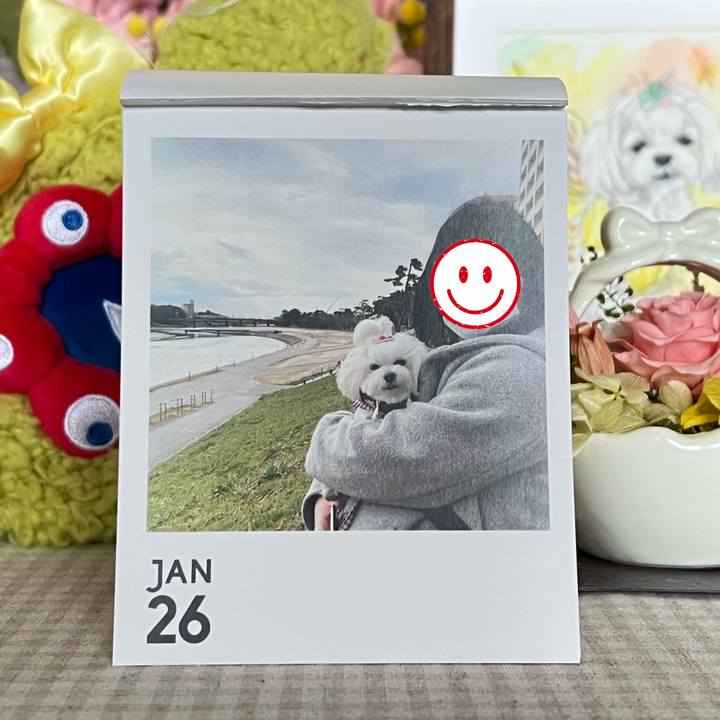 22c5a9b3 b9a8 431c 940e 629aa00d354e 1769486536835