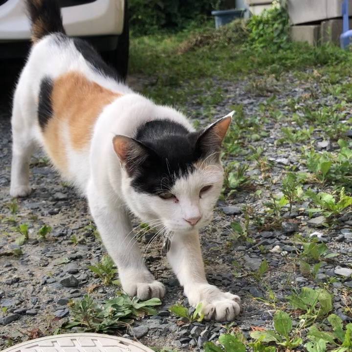 22c5b347 6803 40fd b903 5e3b52afa155 1627169069071