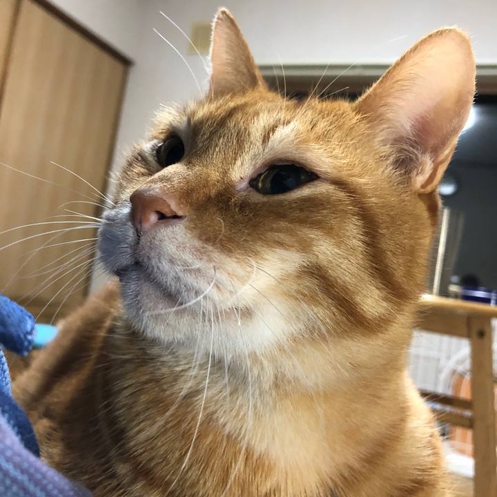 22c5caad cade 4c6a 923e d91acd853173 1737028359219