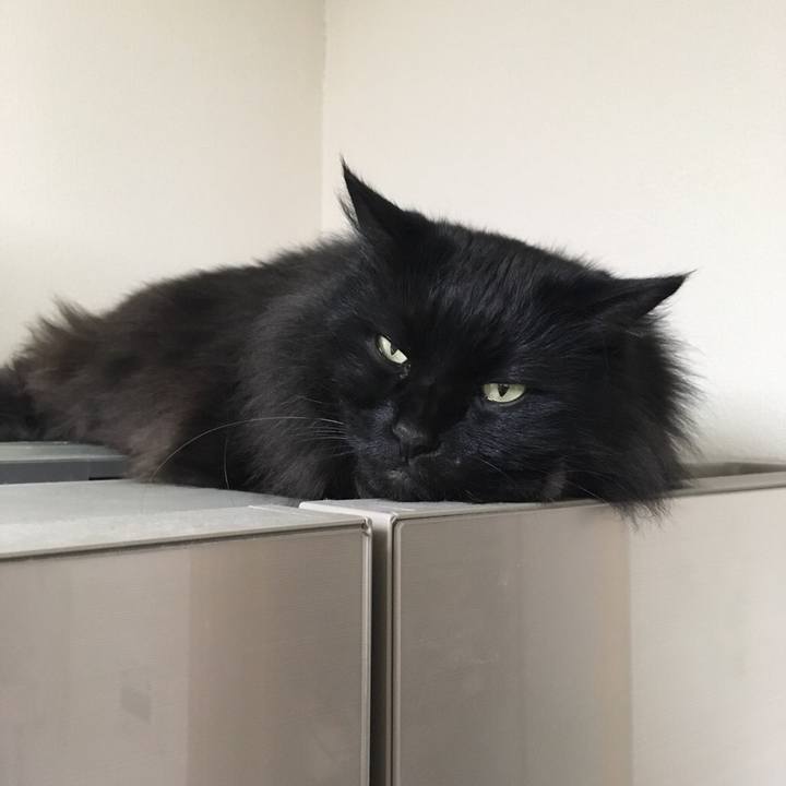 22c61da4 937b 4d45 b028 60de8b73df4b 1545641948069