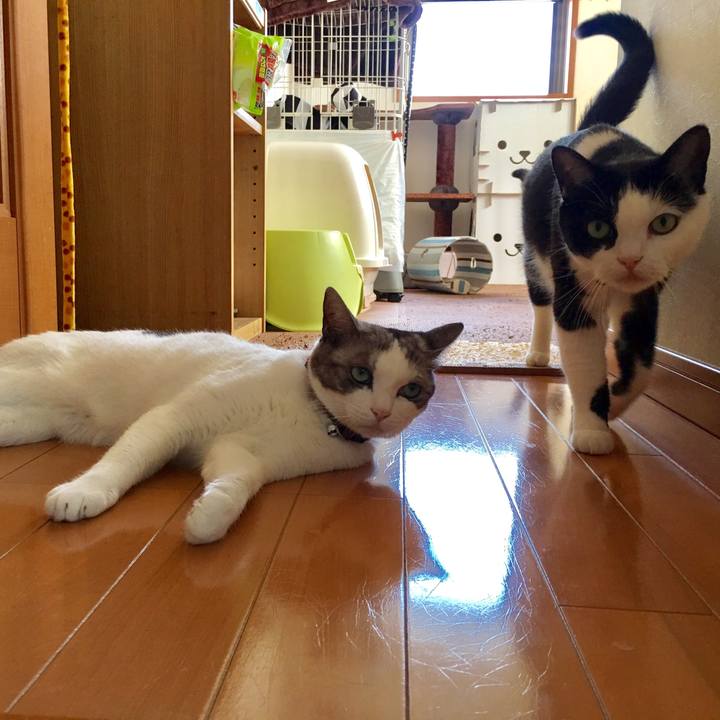 22c629fc 486a 46e0 a4d1 03396848dc54 1507774265992