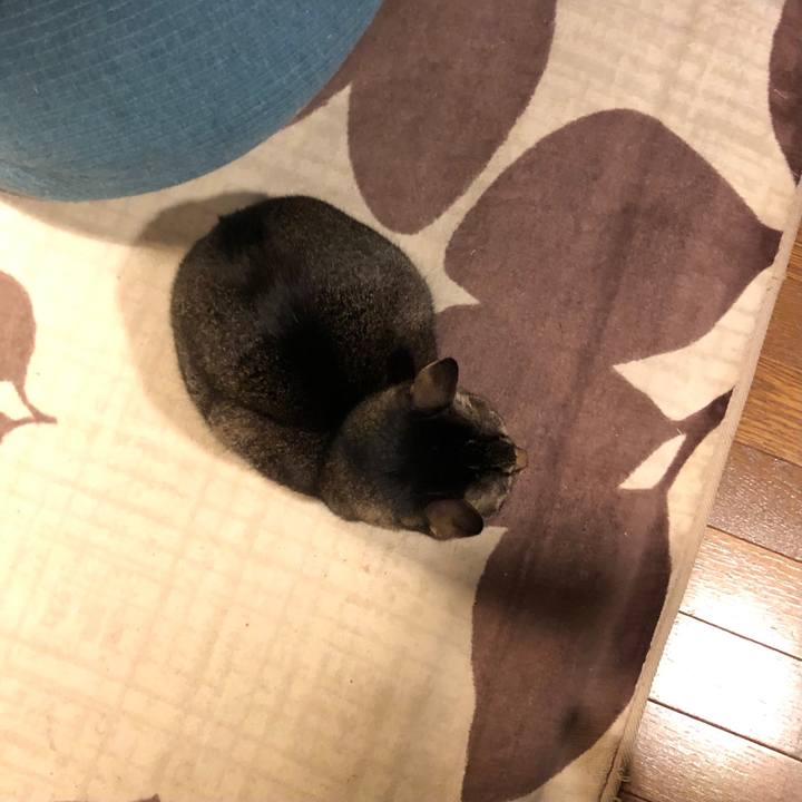 22c646e7 7369 408e b2dc f31a44ef7ee6 1674084945794