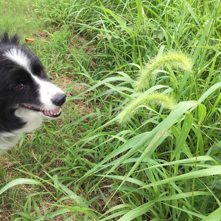 22c67a21 8856 444f ac88 1d4d5eca0af6 1567818113183