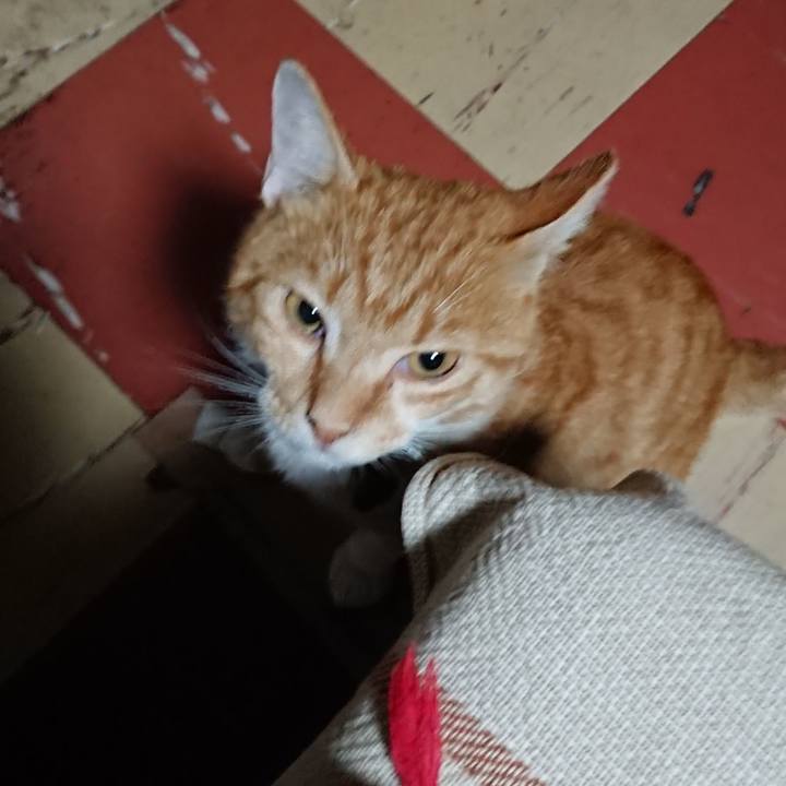 22c68f39 bfd7 4558 9b4a 556798659f3b 1566159404875