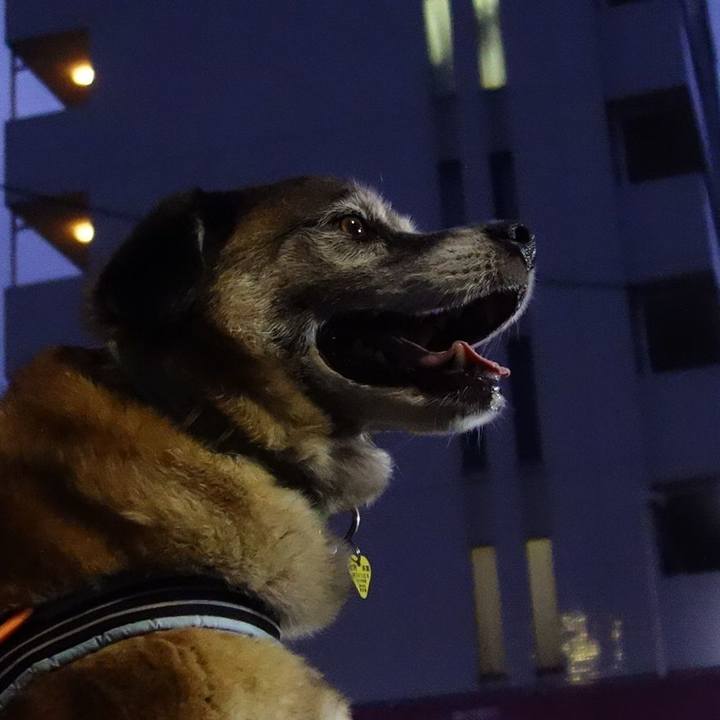 22c6d1e3 f1c7 44b3 859b fb51a012cddb 1562236820874