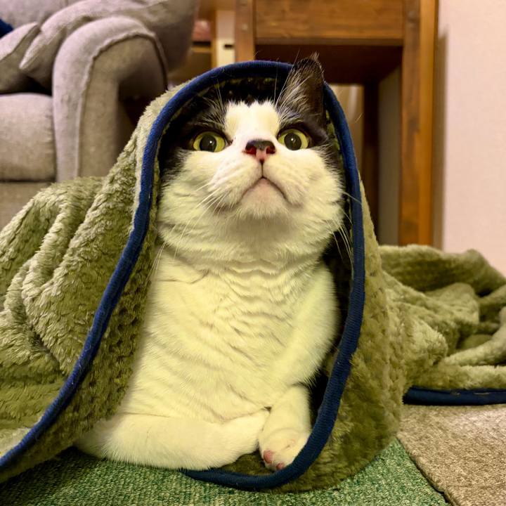 22c6f39c 85da 4c36 b202 e2d8fcb37ae7 1768721027460