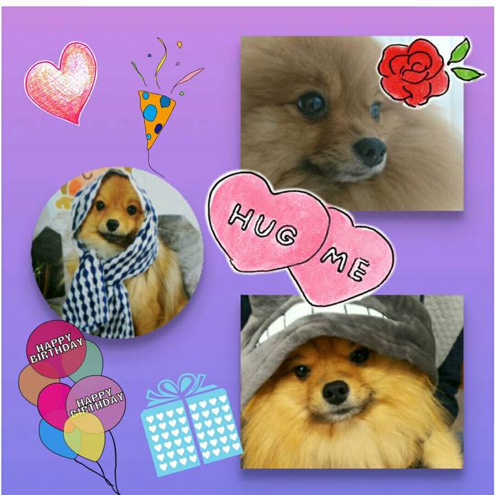 22c7293a dda6 4ac3 8d67 3c8c605cf271 1508665279614