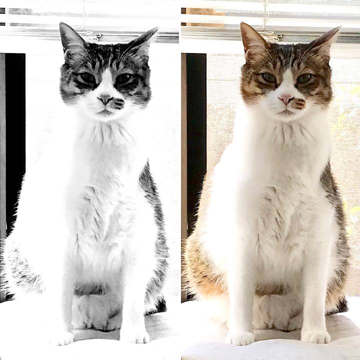 22c72b60 b7da 4a1a a0c7 c6614707630f 1519957111621