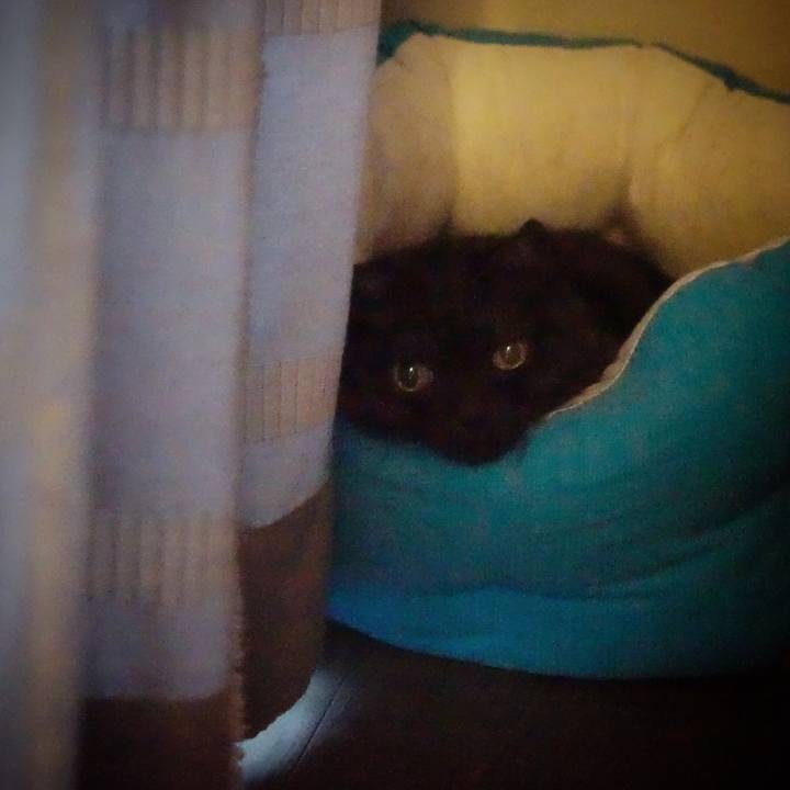 22c73044 a052 4885 bd55 5bf4cf5eab06 1565019671198