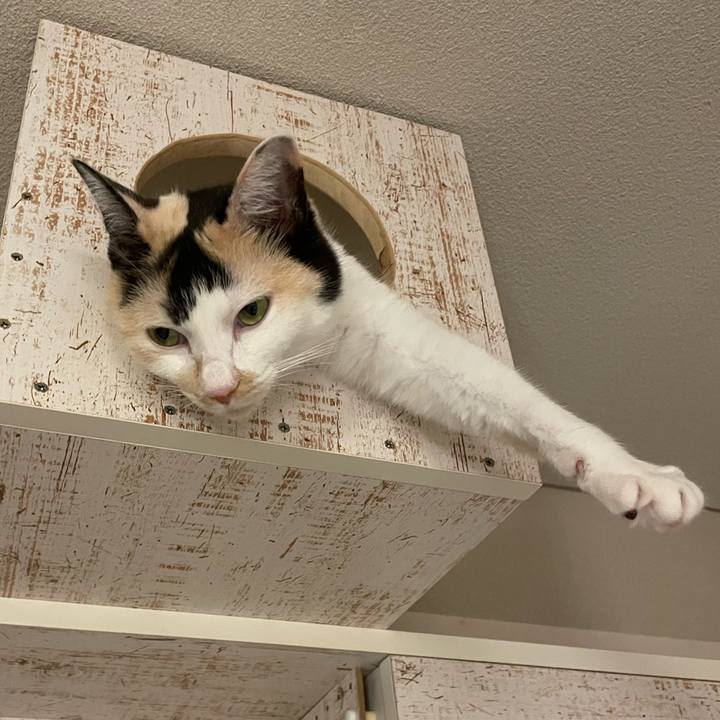 22c7340e bccd 42e2 855e d368fd90201d 1721949847165