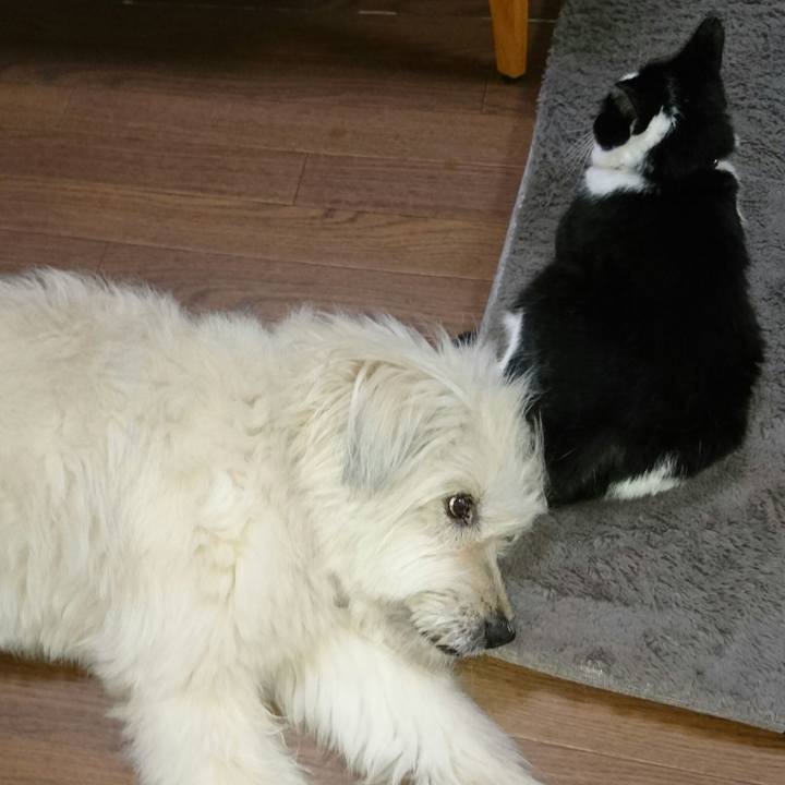 22c74adc 5aaa 4cb3 bea9 a1d1b2c59de5 1563969880112