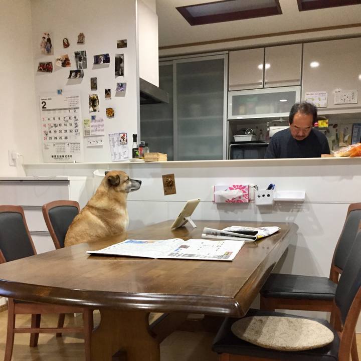 22c74f31 0db5 4569 b291 3b288f2118aa 1549885269860