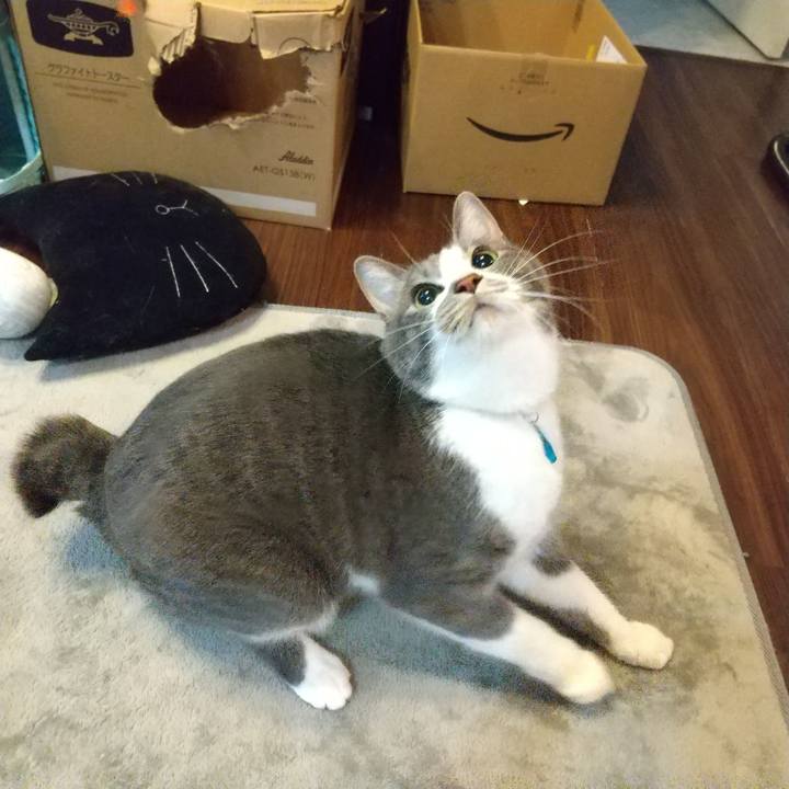 22c77542 029b 4f9a 9591 4ad5c5f0b5d2 1647867078070