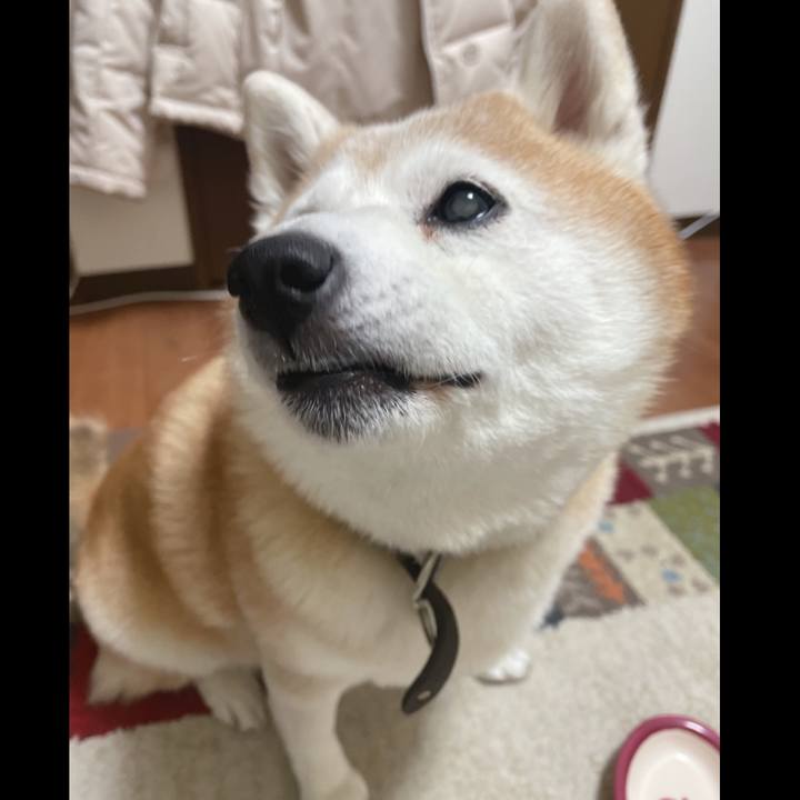 22c77b64 b048 4170 965d 1e0a824a66ab 1647875243798