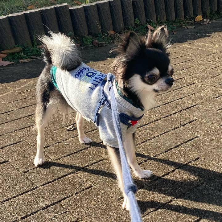 22c7c3bb 18fb 4b71 a992 50eb01f284d9 1638590467961